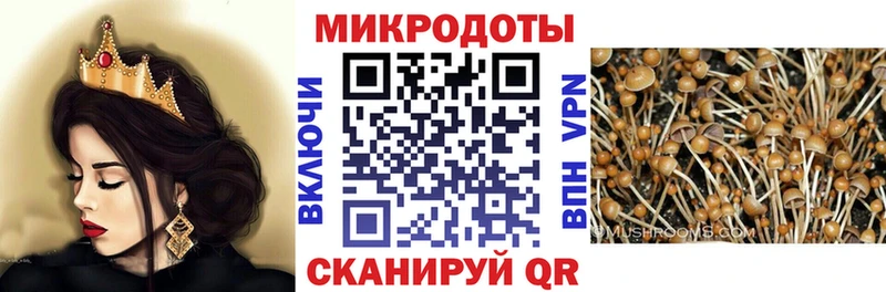 Галлюциногенные грибы ЛСД где купить наркотик Куртамыш